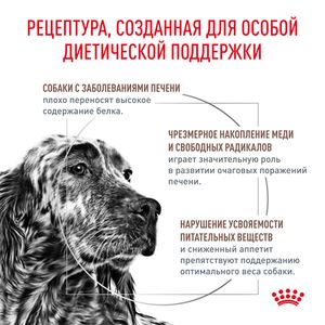 Сухой корм Royal Canin Hepatic для взрослых собак для поддержания функции печени