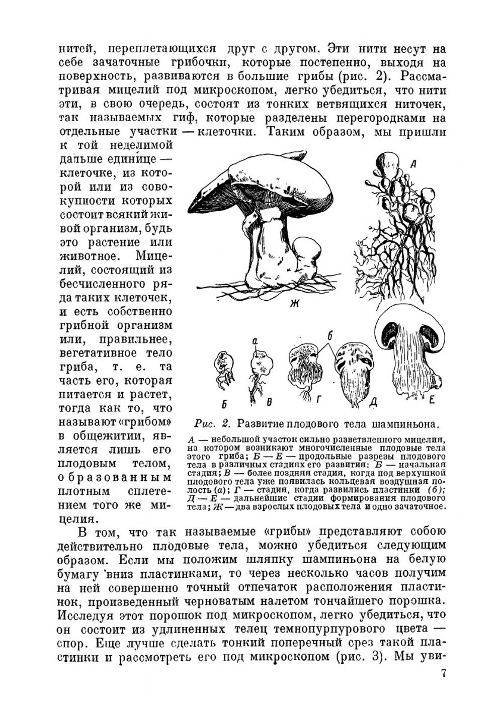 Грибы, их строение, жизнь и значение | М.М. Голлербах