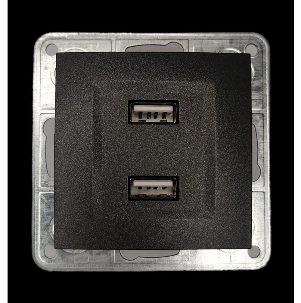 Розетка USB 2x1 Profitec Tesla графит