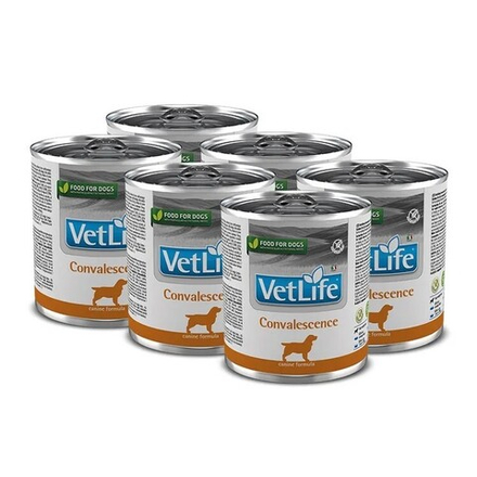 Консервы FARMINA Vet Life Dog Convalescence для собак в период восстановления (паштет) - 6х300 гр