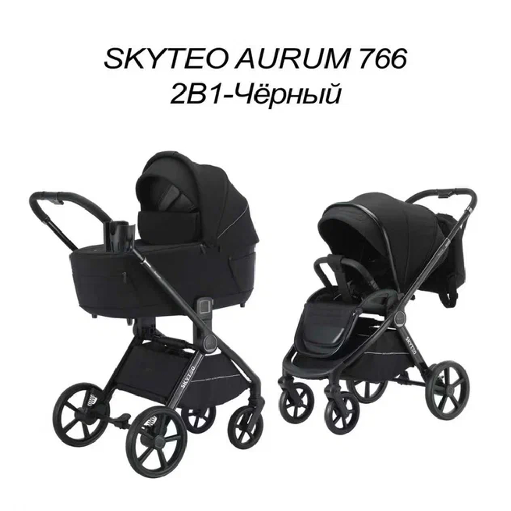 Коляска 2 в 1 SKYTEO AURUM 766