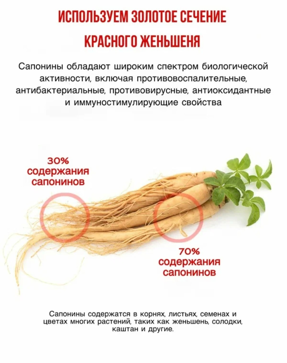 Корейский красный 6- летний женьшень в стиках-желе, 30 штук