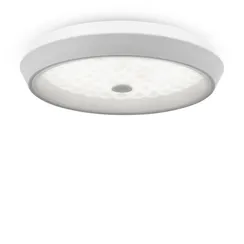 Потолочный светильник Элементы / Cells Freya fr10012cl-l24w