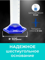 Набор, ареометр-сахаромер АС-3 0-25%, мерный цилиндр 250 мл.