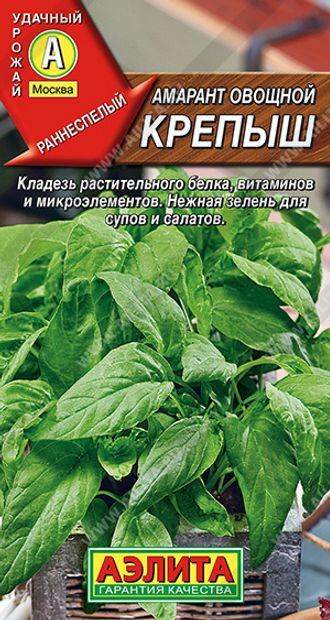Зелень