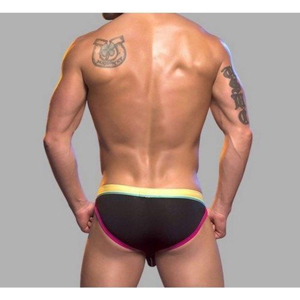 Мужские трусы брифы черные Retro Pop Reveal Andrew Christian Black  AC9612