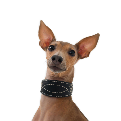 Ошейник DOGLEA LUXURY черный/бежевый