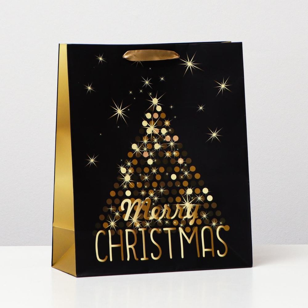 Пакет ламинированный 26*32*12см.