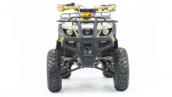 Квадроцикл Motoland 250 ADVENTURE