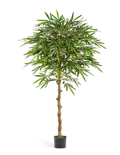 Бамбук Новый зонтичный 180 см