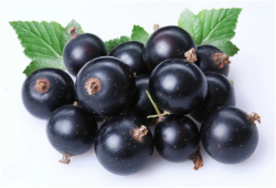 Кисель быстрого приготовления Приправыч Черная смородина, 110г, 25шт