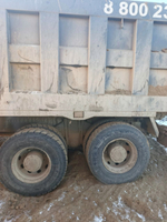 Shacman (Shaanxi) SX* 8x4 Самосвал SX33186T366 (Дизельный, 11,6 л, 369 л.с., МТ)