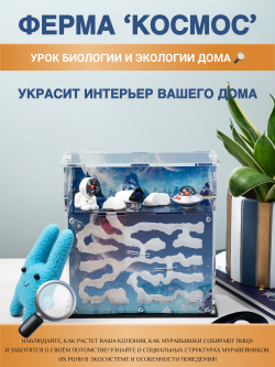 Муравьиная ферма с муравьями в подарок "Космос"