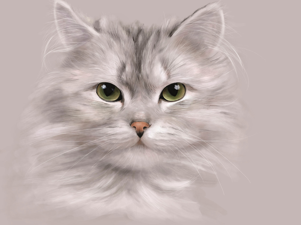 Коллекция Животные