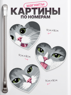Котики