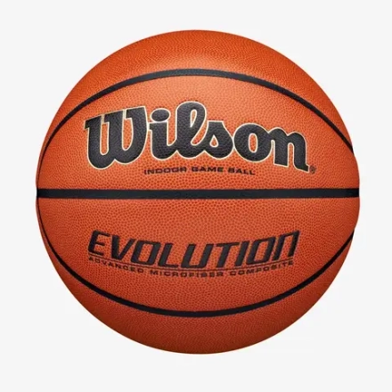 Мяч баскетбольный Wilson EVOLUTION SZ (6)