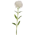Цветок искусственный «Natur» 50см Кариофиллум белый