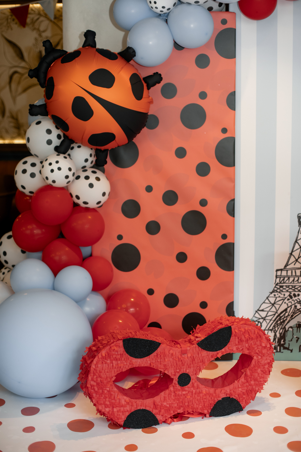 Lady Bug Party