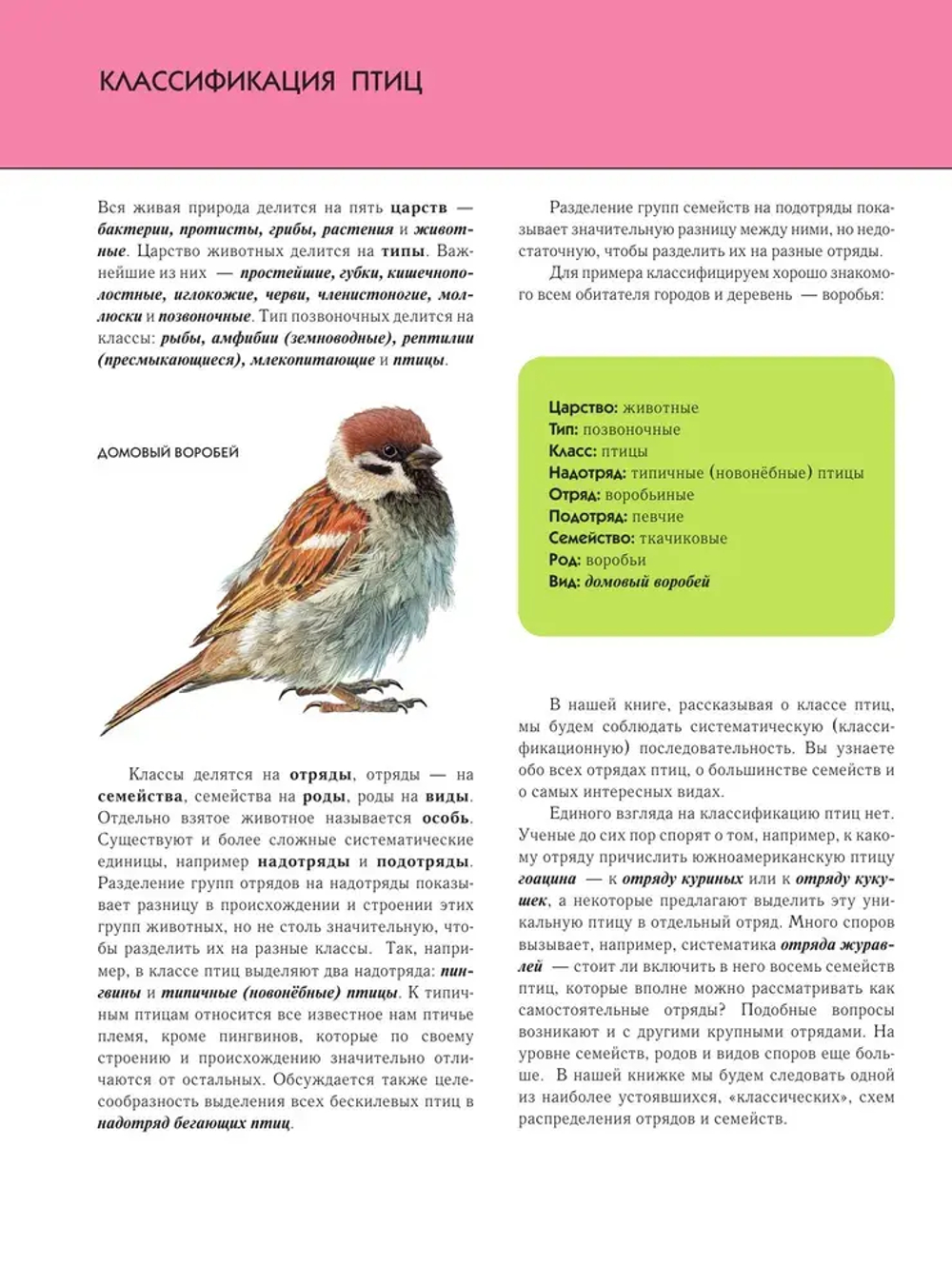 Птицы. Полная энциклопедия