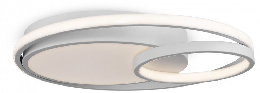 Накладной светильник Freya  FR10028CL-L80W