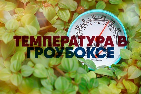 Температура в Гроубоксе