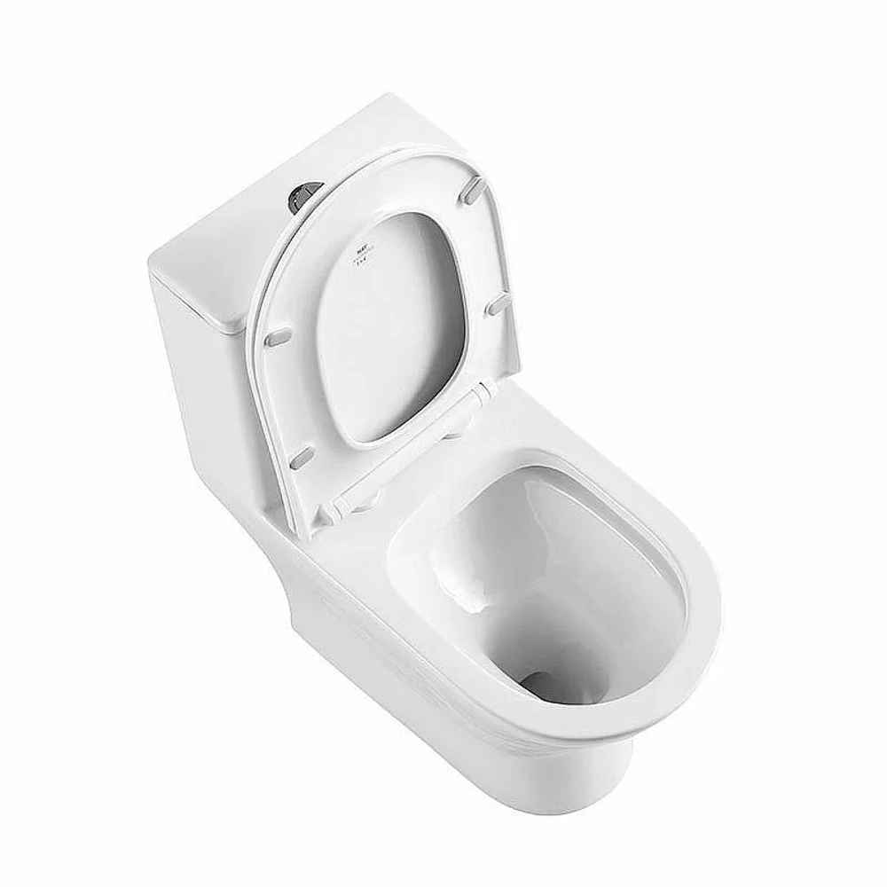 Унитаз-моноблок BelBagno LOUNGE BB8618CPR-MN/SC безободковый, с бачком, с крышкой микролифт