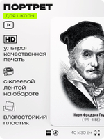 Портрет для школы в кабинет математики "Карл Фридрих Гаусс", стенд школьный для класса, деятели науки для оформления классного уголка, 40х30 см, Silver Plane x Айдентика Технолоджи