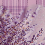 Пакет подарочный «Лавандовые сны» 32*26*12 см