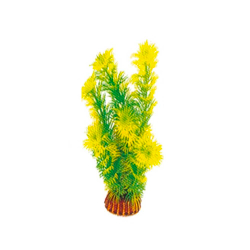 Laguna Растение искусственное "Амбулия" жёлто-зелёное