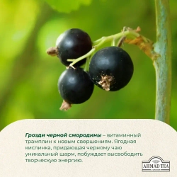 Чай в пакетиках Ahmad Tea Blackcurrant Burst, 25 шт