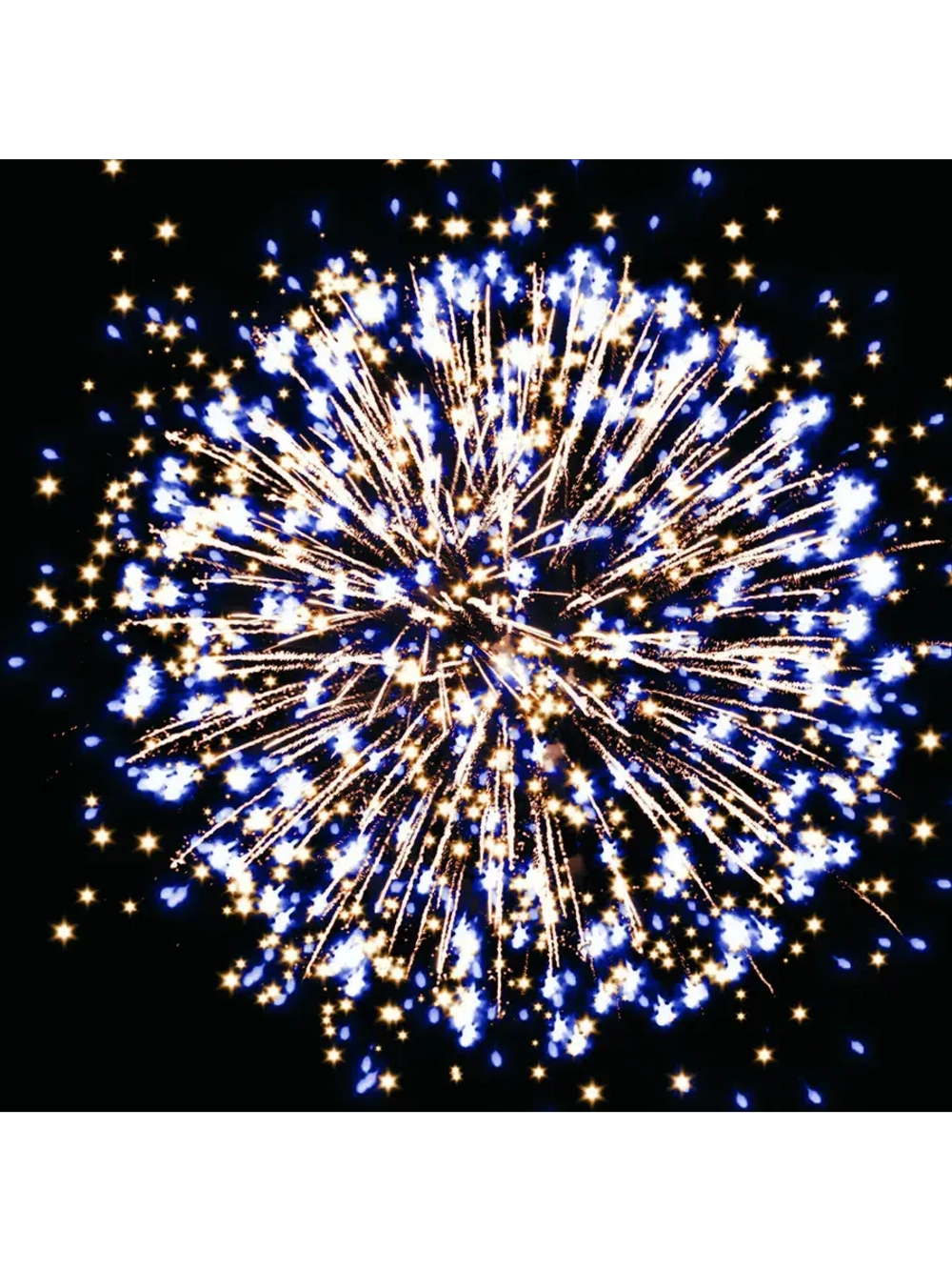 ОС8810 Гейша (1,1"х 88)