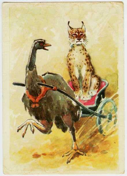 Почтовая открытка СССР - Страус Эму и Рысь