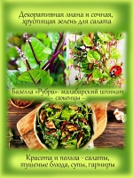 Базелла Рубра малабарский шпинат