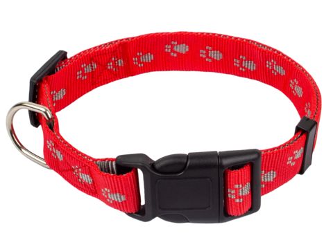 Зооник ошейник для мелких и средних пород собак, стропа 