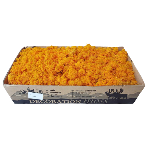 Мох ягель "Decoration" оранжевый