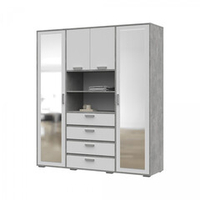 Денвер ШК 02 Шкаф с зеркалом