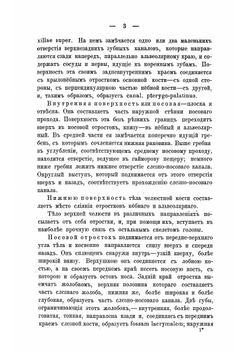 Опухоли верхней челюсти в клиническом отношении | Ратимов Василий Александрович