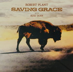 Plant Robert - Saving Grace