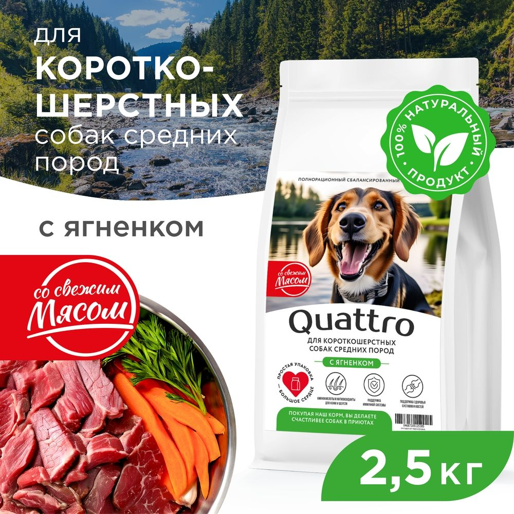 Корм сухой для взрослых собак средних пород, премиум полнорационный комплекс, для короткошерстных собак, с ягненком, 2,5 кг, QUATTRO