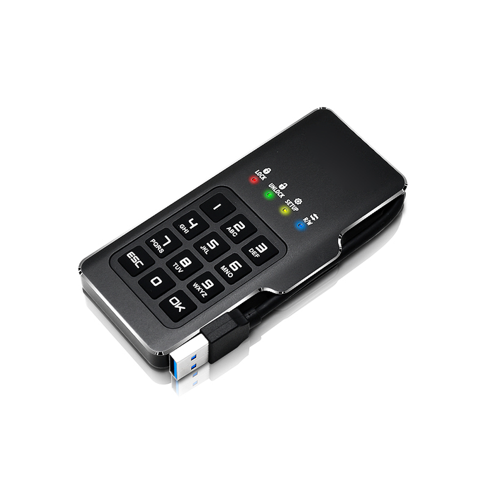 Внешний диск с шифрованием и ПИН-кодом DataLock PRO М2 256 Гб