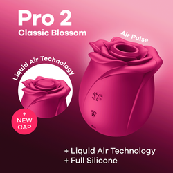 Вакуумный стимулятор клитора Satisfyer Pro 2 Classic Blossom