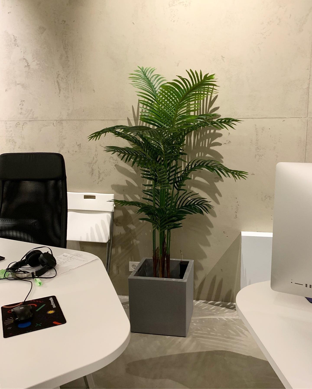 Озеленение  искусственными растениями офиса перфоманс-агенства "South Media" г.Краснодар