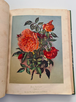 "Nestel`s Rosengarten. [  Сад роз Нестела]". E. Schweizerbartsche Verlagshandlung. 1869г.