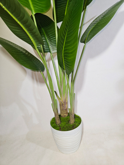 Искусственное растение Стрелиция Комнатная в кашпо