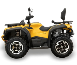 Квадроцикл HISUN Guardian 750 S (ПСМ)