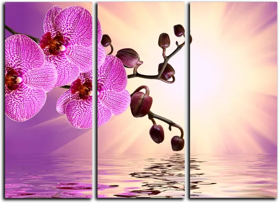 Модульная картина "Розовый лепесток"