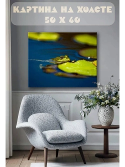 Картина на стену 40 X 50 Лягушка