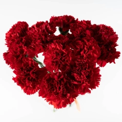 Bouquet of 15 red tulips