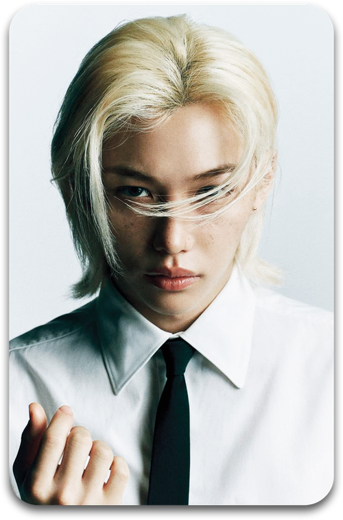 Карта / STRAY KIDS #1013