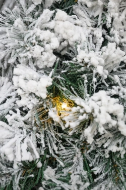 Хвойная арка Карельская 240*160 см. заснеженная, 260 теплых-белых Led ламп, ПВХ, ЕлкиТорг (28011)